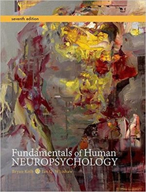 Fundamentals of Human Neuropsychology 7th Edition Kolb