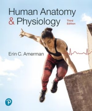 Human Anatomy and Physiology 3rd Edition Amerman